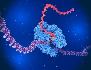 Breakthrough in Single-Cell Genome Sequencing: New Method Reduces Bias and Expands Research Horizons