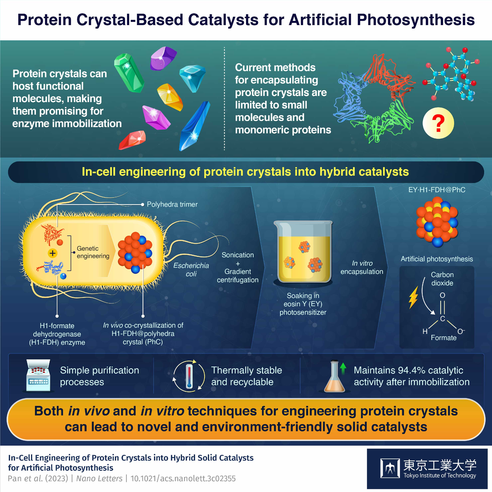 Towards Artificial Photosynthesis with Engineering of Protein Crystals in Bacteria