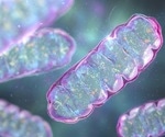 Schizophrenia-Linked Chromosome Deletion Affects Mitochondria