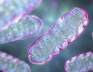 Schizophrenia-Linked Chromosome Deletion Affects Mitochondria
