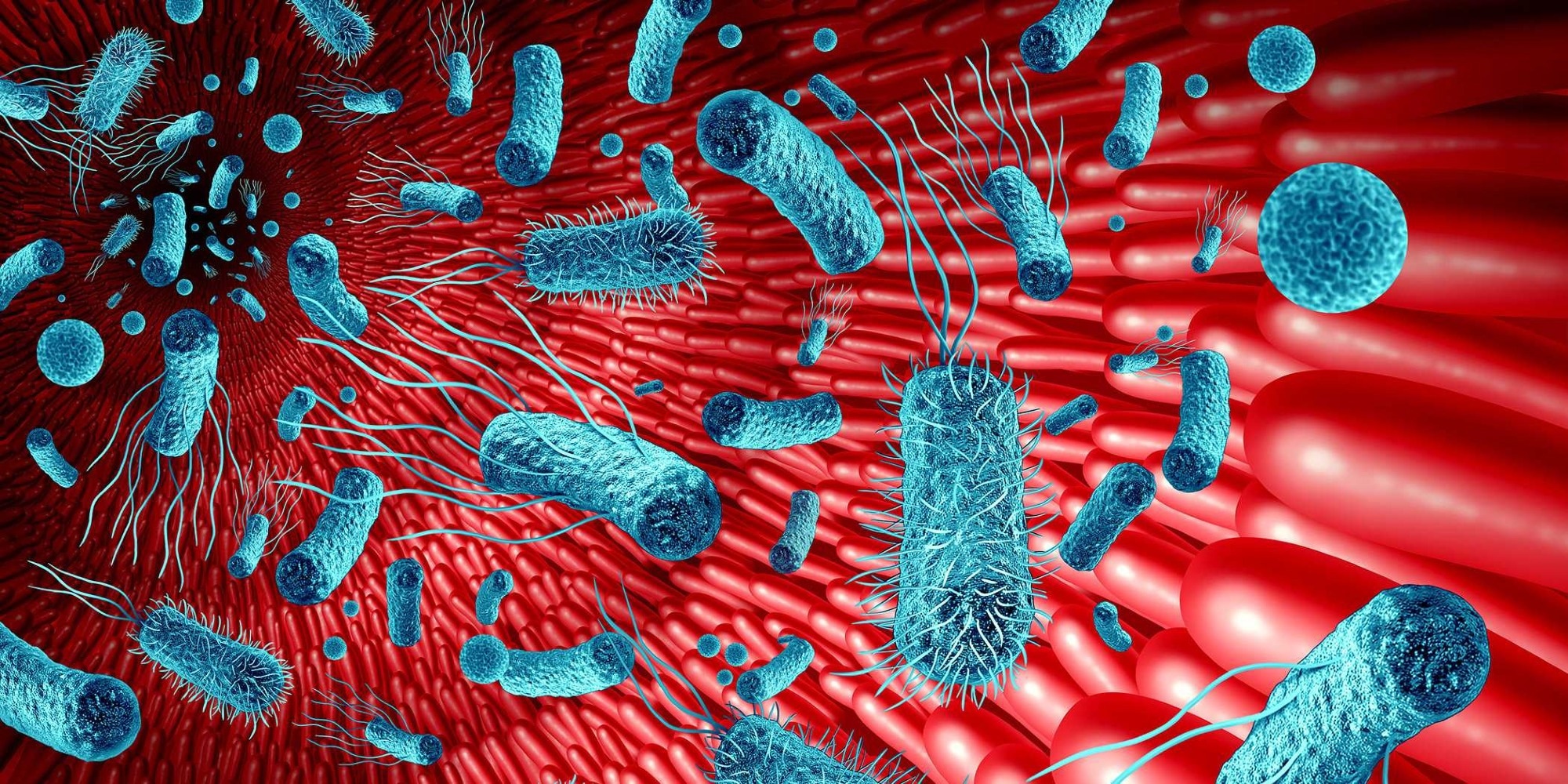 A Colonizing Strategy of Salmonella Gut Bacteria