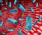 A Colonizing Strategy of Salmonella Gut Bacteria