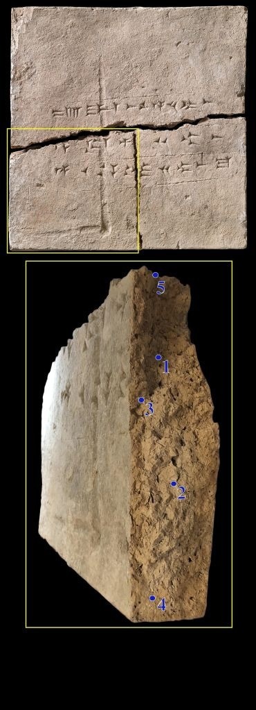 Clay Brick Reveals Diversity of Plant Life in Ancient Assyria