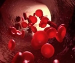 Red Blood Cells May Hold the Key to Preventing Heart Diseases