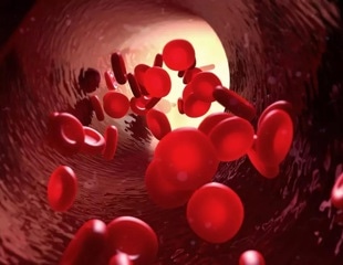 Red Blood Cells May Hold the Key to Preventing Heart Diseases