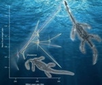 Plesiosaurs Lengthened Their Necks by Incorporating More Vertebrae