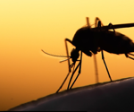 Genomic Surveillance Finds Malaria-Causing Parasites Resistant to Treatments