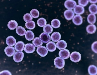 Scientists Uncover New Genetic Insights into Staphylococcus Aureus