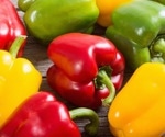 Scientists Deepen Understanding of Pepper Genetics