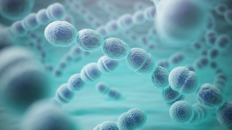 Understanding How Antibiotic Resistance Occurs in Pneumonia