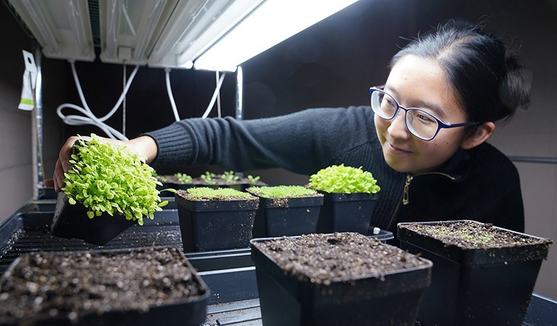 $1.1 Million Grant to Fund Research on Molecular Response of Plants to Environmental Stress