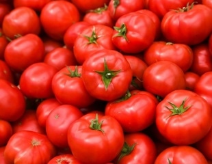 Molecular Responses of Tomatoes to Chilling Stress
