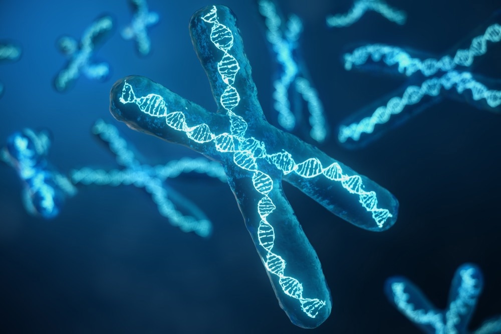 3D illustration X-Chromosomes with DNA carrying the genetic code.