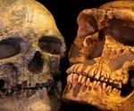 The Story of Sapiens and Neanderthals as Told by Genomes