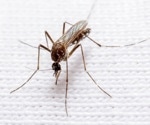 Phylogenomics Provide Insight About Mosquitoes’ Previous Host Use