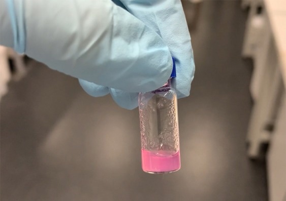 Unlocking the Potential of Lab-Made Hydrogel for Tissue Growth and Medical Applications