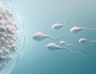 Unveiling the Intricacies of Sperm Transformation