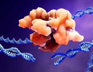 The Role of CRISPR-Cas9 in Treating Primary Immunodeficiency Disorders