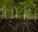 Revealing the Protein Secrets of Plant Root Sealing for Sustainable Agriculture