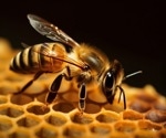 Centralized Tool Revolutionizes Global Bee Data