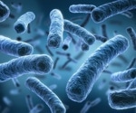 Unlocking the Secrets of Bacterial Transcription
