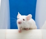 New Tool Tracks Mouse Movements and Brain Activity