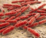 A Breakthrough in Combatting Multi-Drug Resistant Bacteria