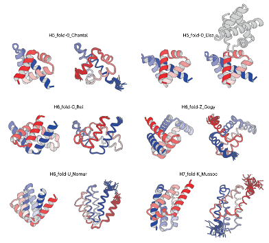 Computational Creation of Complex Protein All-α Structures