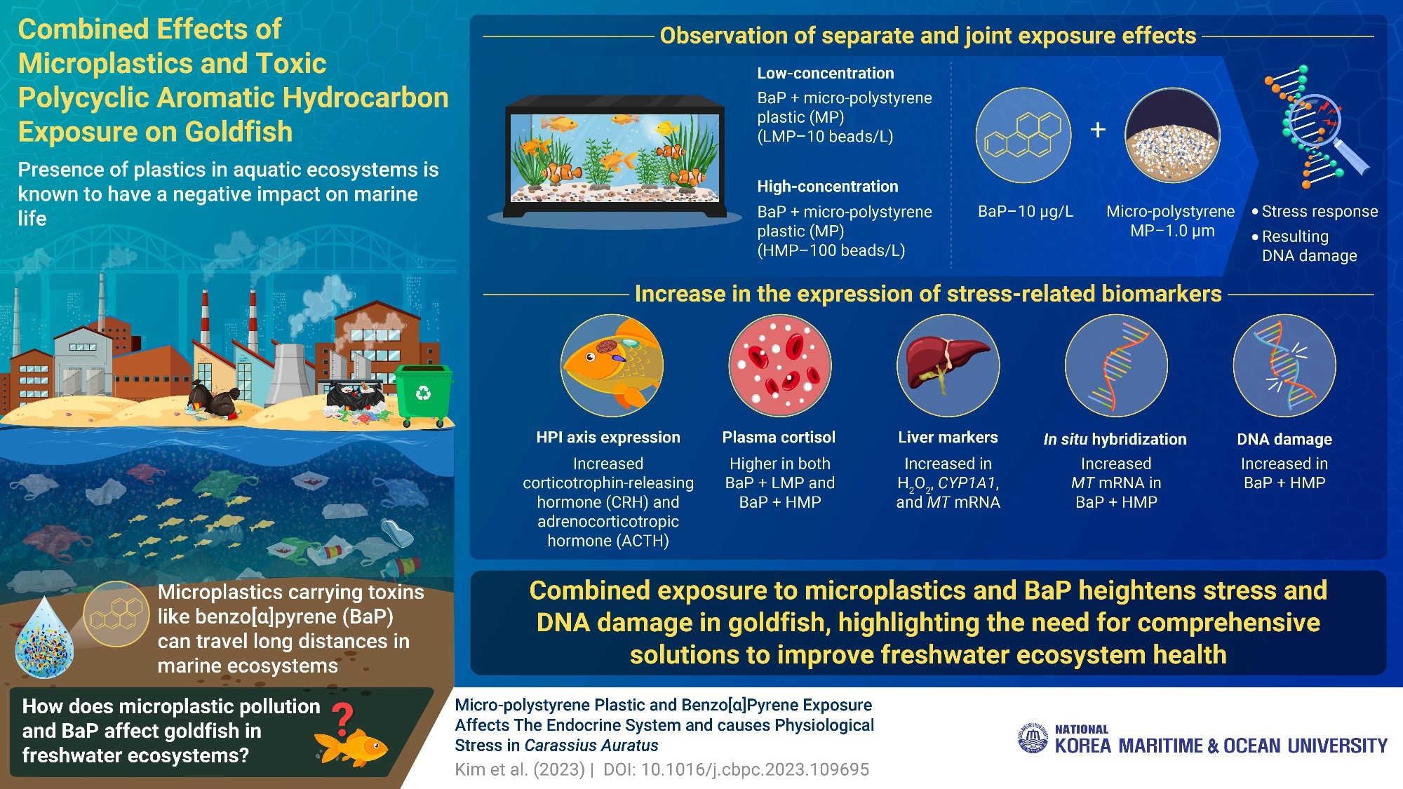 National Korea Maritime and Ocean University Researchers Explore the Impact of Microplastics and Toxin Exposure on Goldfish