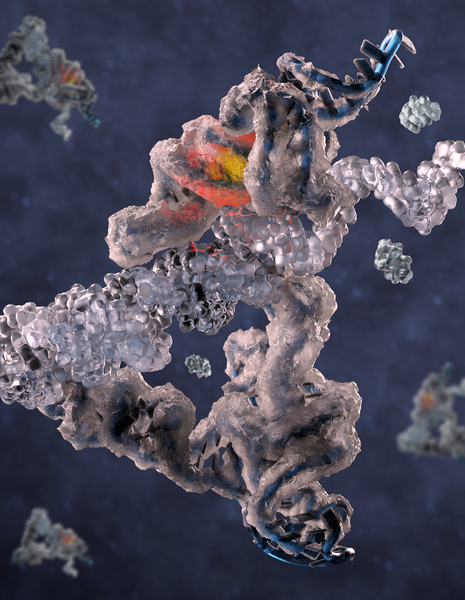 Investigating the Functional Mechanisms of RNA Replicase