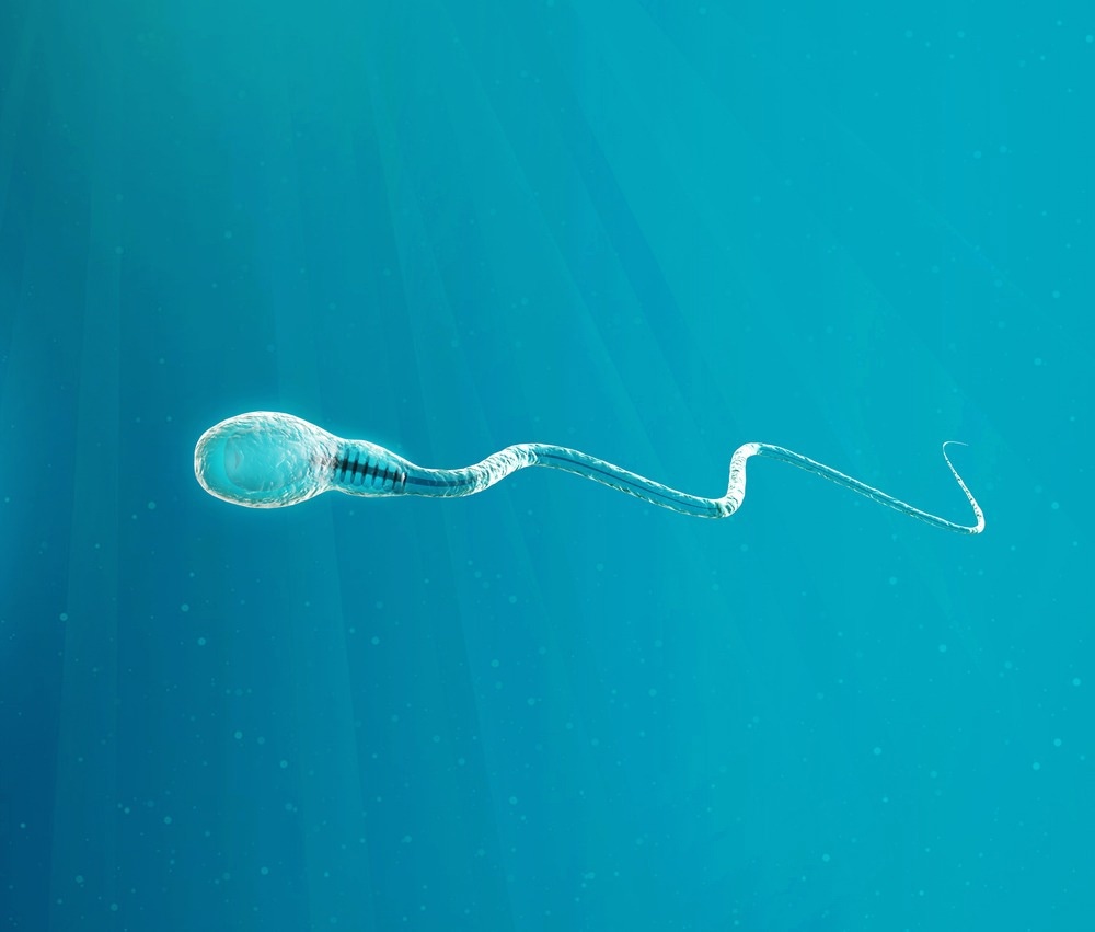 Human sperm cell, 3d illustration isolated blue