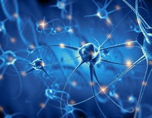 A New Tool for Monitoring Neuronal Inhibition