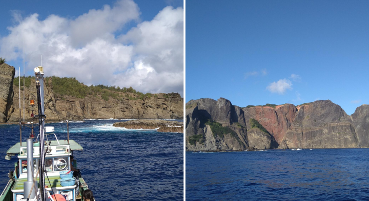 Insights From the Ogasawara Islands Biodiversity Study