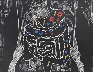 New Research Highlights Gut's Role in Preventing Infections
