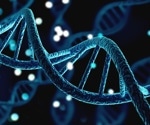 New Theory Links Gene Length to Cellular Decline