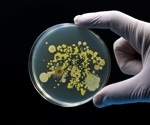 Researchers Develop Quantum-AI Platform to Predict Antimicrobial Resistance in Salmonella