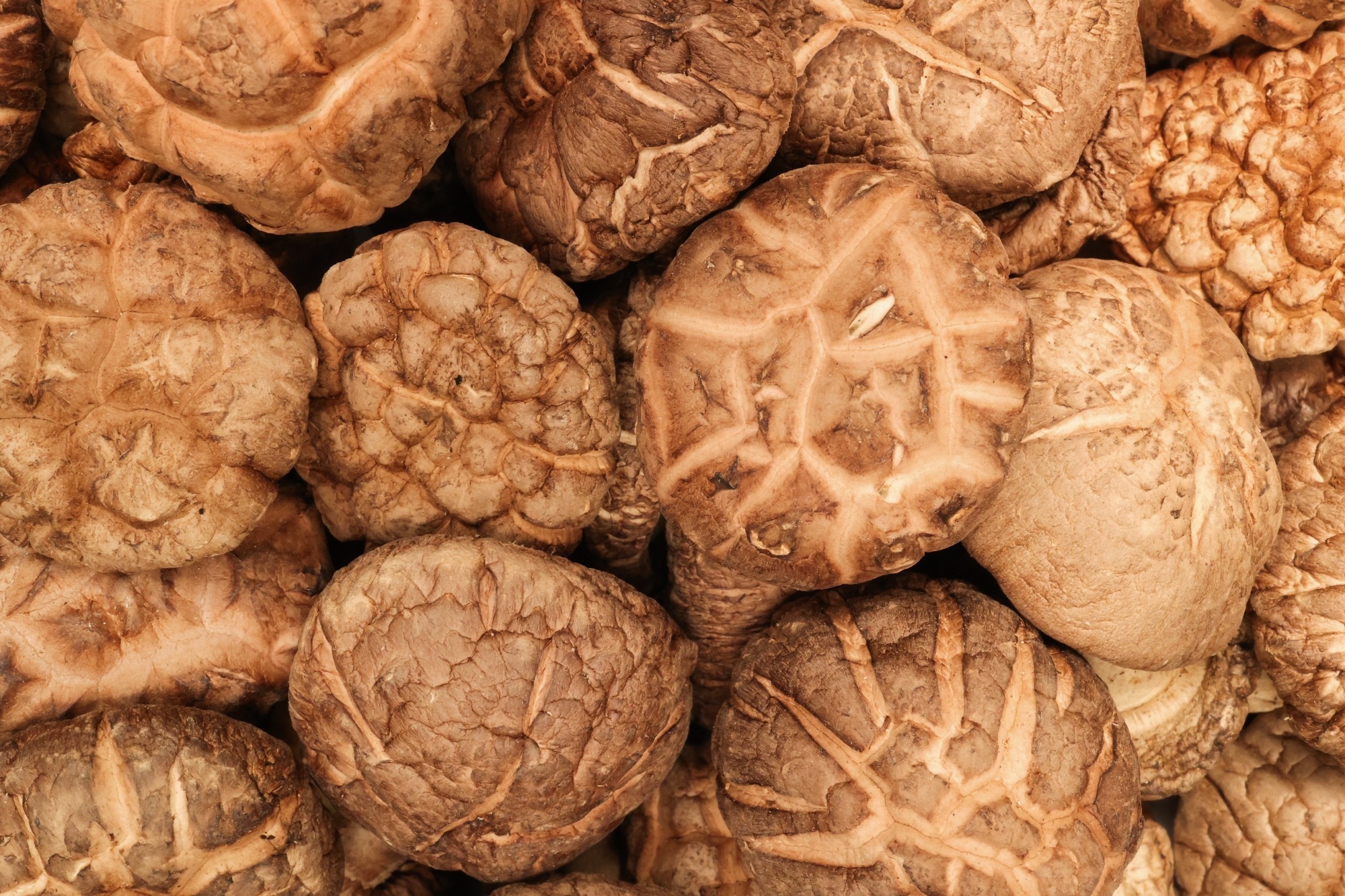 Close-up view full frame background of dried mushrooms stacked together.