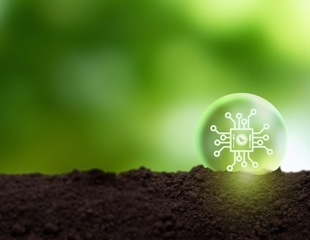 Haematococcus pluvialis Microalga-Derived Nanoparticles Offer Eco-Friendly Boost for Plant Growth and Seed Priming