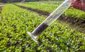 When Climate and Life Sciences Intersect - What are Microbial Cover Crops?