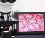 Researchers construct smallest and cheapest high-resolution microscope